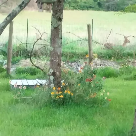Maison Chaleureuse Et Nature Villa La Chapelle-Sur-Erdre