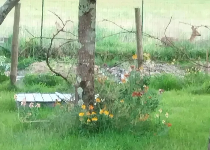 Maison Chaleureuse Et Nature Villa La Chapelle-Sur-Erdre