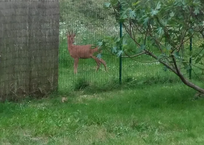 Maison Chaleureuse Et Nature Villa *